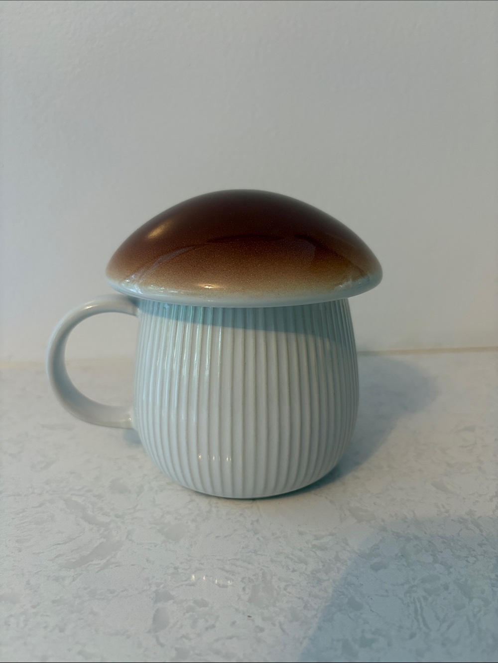 World Market Brown Mushroom Ceramic Mug with Lid. Never used